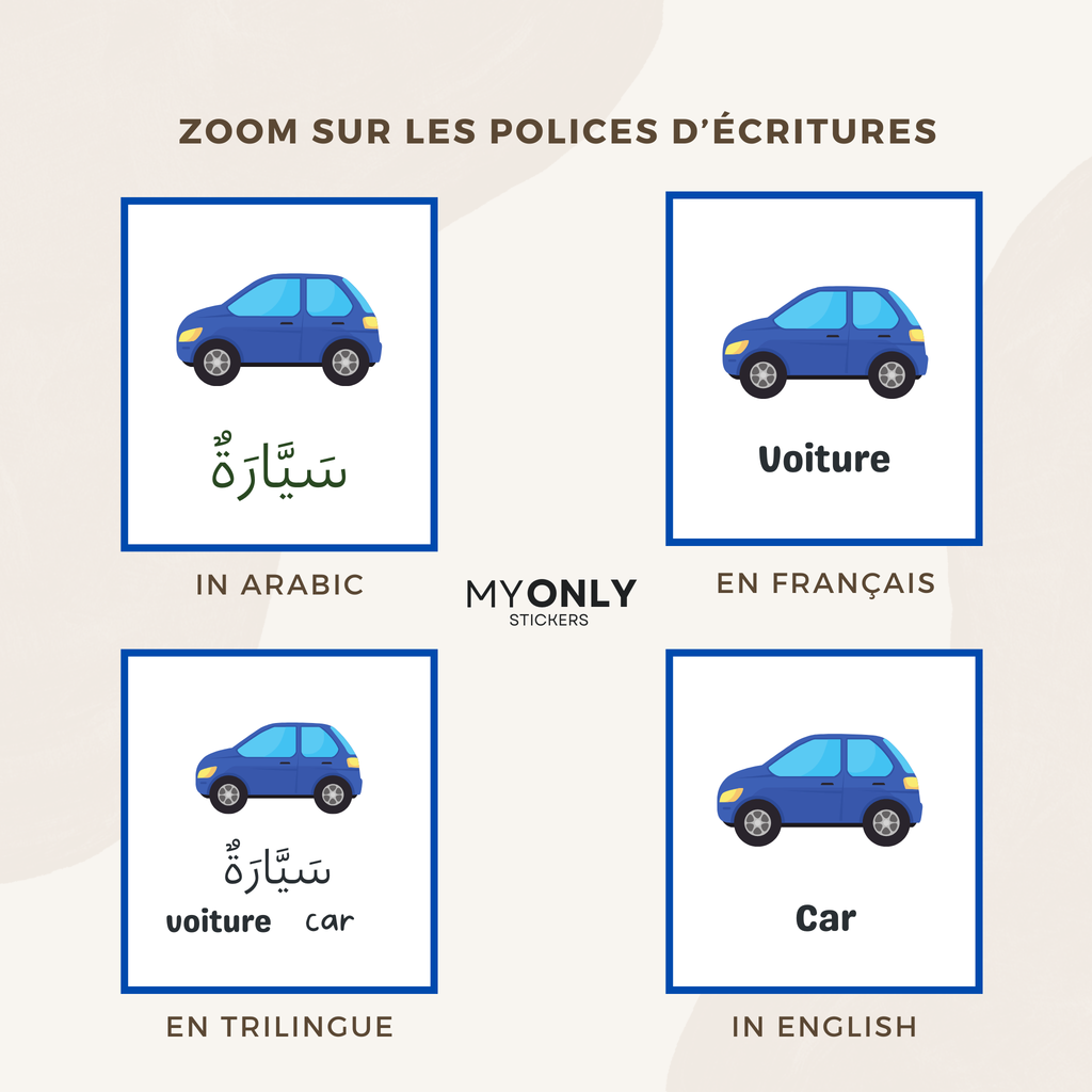 Affiche éducative – Les véhicules en arabe, français et/ou anglais