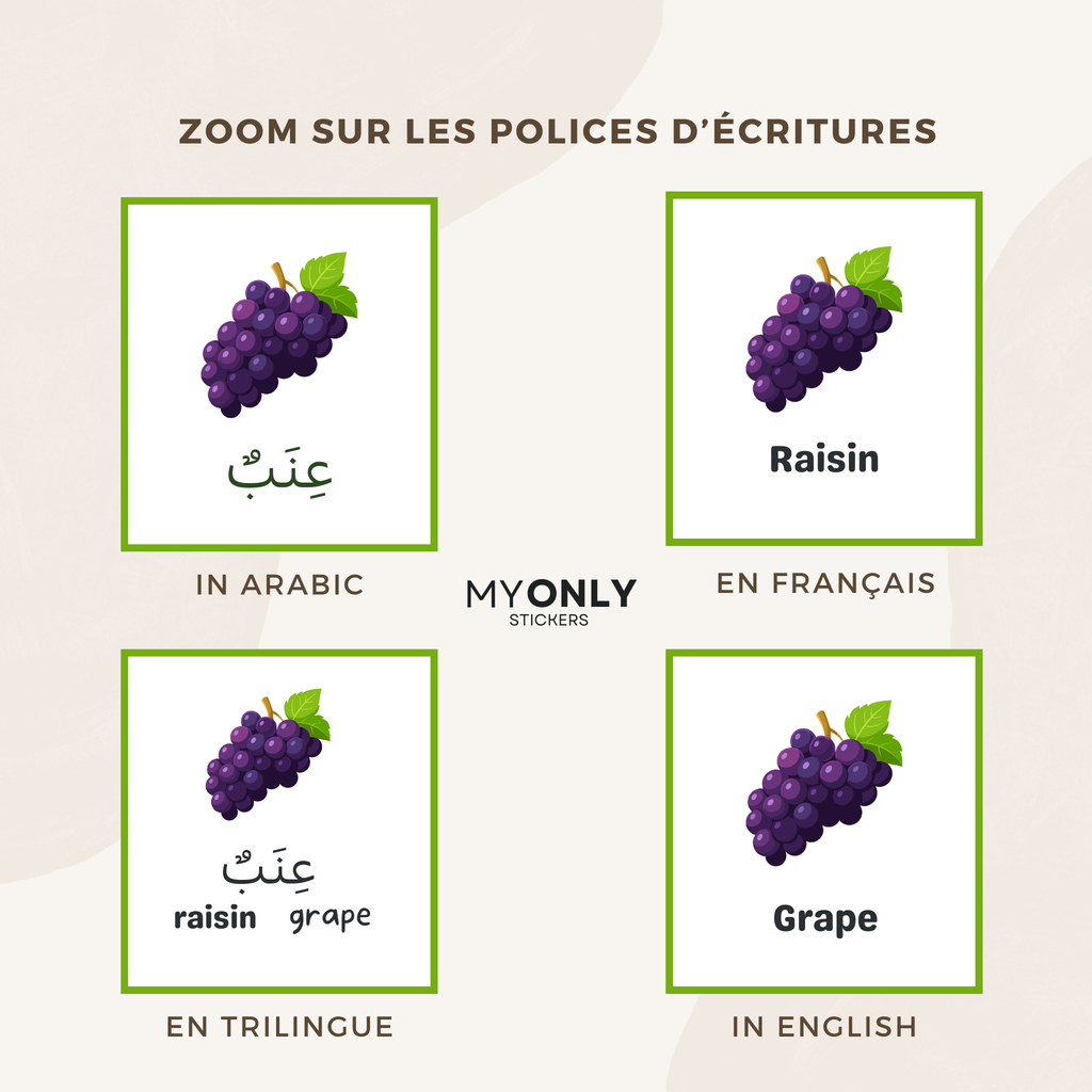 Affiche éducative – Les fruits en arabe, français et/ou anglais
